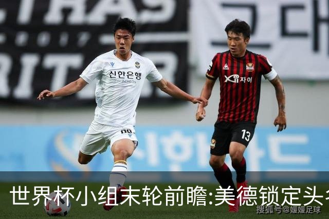 世界杯小组末轮前瞻:美德锁定头名 F组3队混战