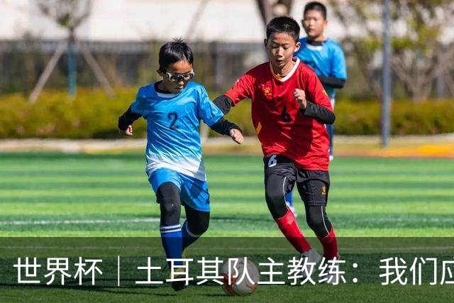世界杯｜土耳其队主教练：我们应得到更多尊重