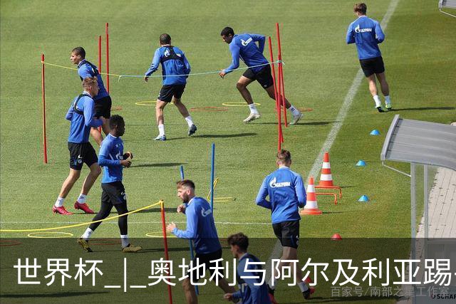 世界杯 | 奥地利与阿尔及利亚踢平携手晋级送伊朗出局