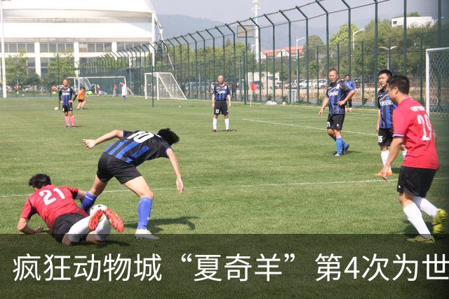 疯狂动物城“夏奇羊”第4次为世界杯开嗓，版税将全捐用于贫困儿童教育